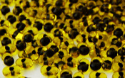Drobne farfalle - 20105